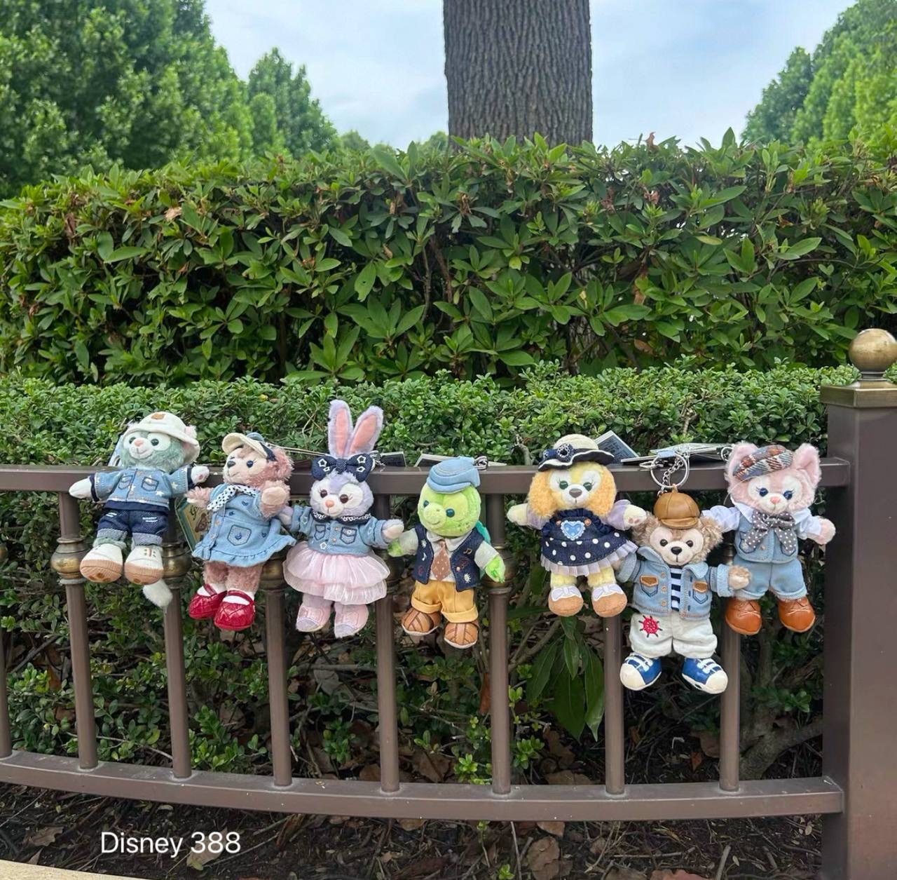 image_20DCE23C-BFAE-45CB-BD9A-475DD17D6F7E_1760454816