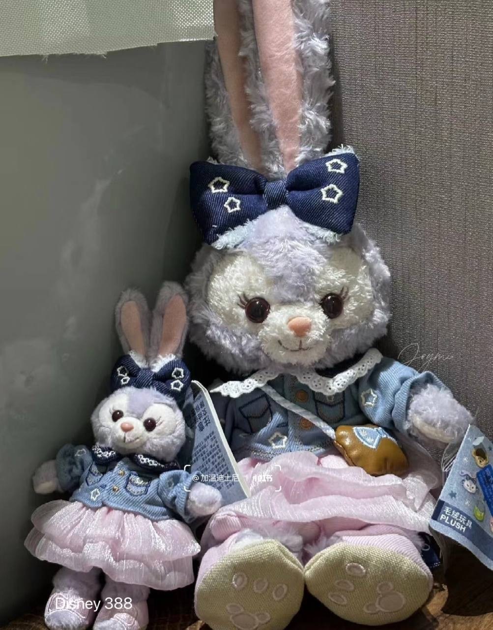 image_6FE5C12C-4AE8-4051-AE13-3B2518189FC5_1760454816