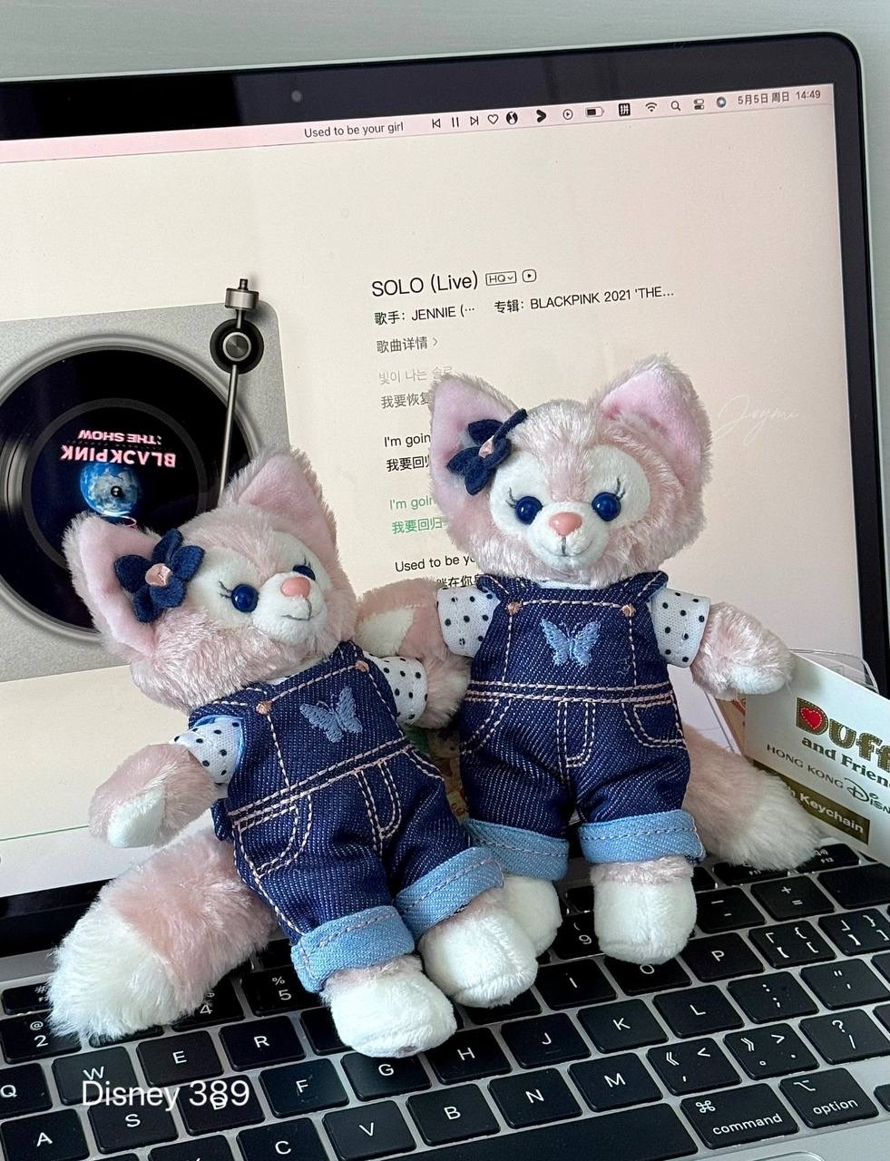 image_0B55040B-FE18-4C76-8B35-19095E7F680D_1760454973