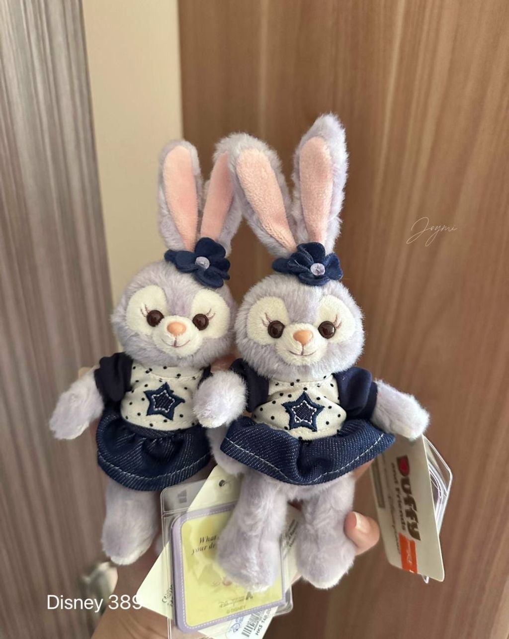 image_ECDA261A-78F3-45E2-AFB2-DC0FF85C736F_1760454973