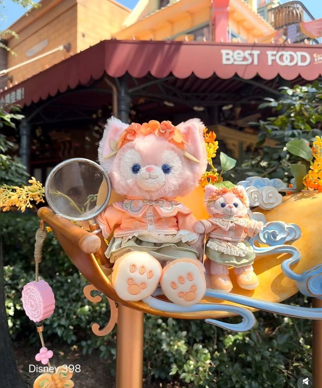 image_9EA1515E-79A4-4B33-B11F-07F8E1650BDE_1760519726