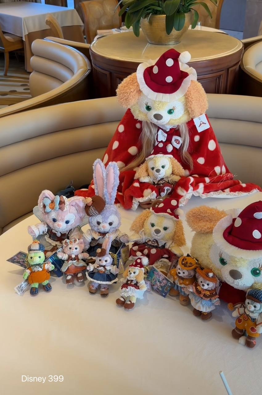 image_93E9B451-70B0-47C3-B333-8CAB91FCA578_1760519885