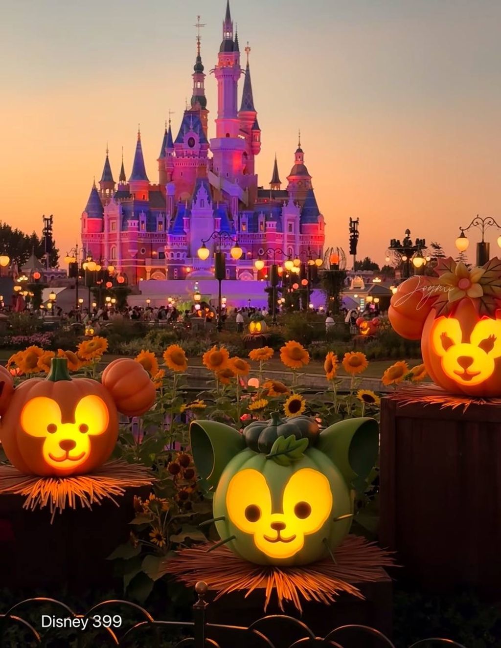 image_715556A6-9ECE-47F3-AA7F-BA1023D66608_1760519885