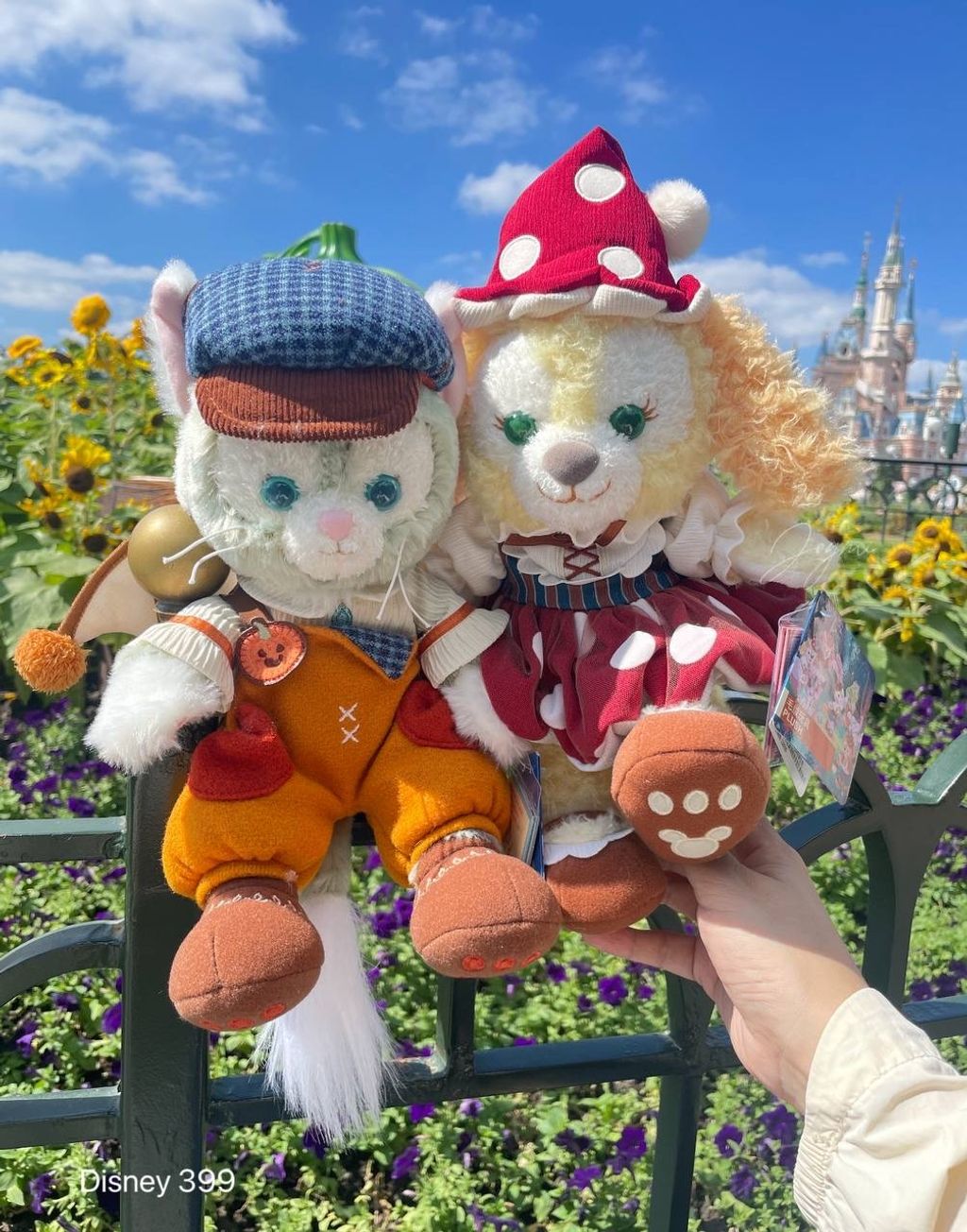 image_5BF4033A-9205-425C-A702-04444C69C5CE_1760519885