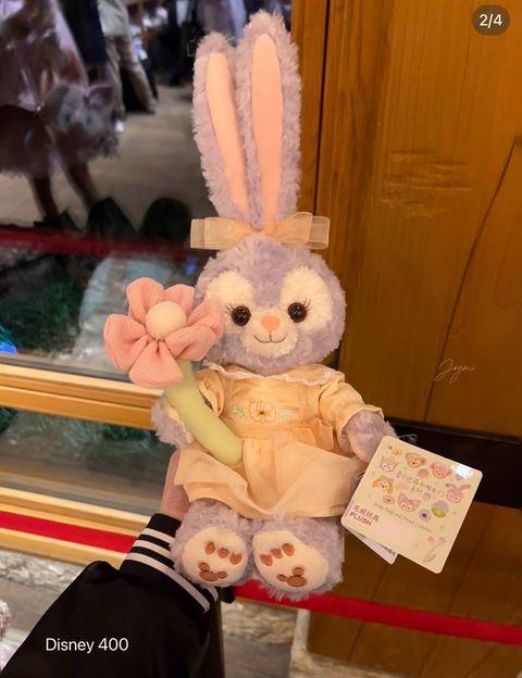 image_A88B22A0-4ED1-47E9-9D6D-CFBDC74A14B0_1760520079