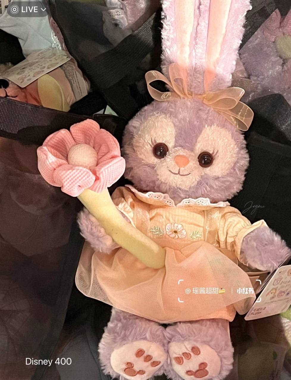 image_3986987A-BE94-4990-BF9C-6C635781C611_1760520079