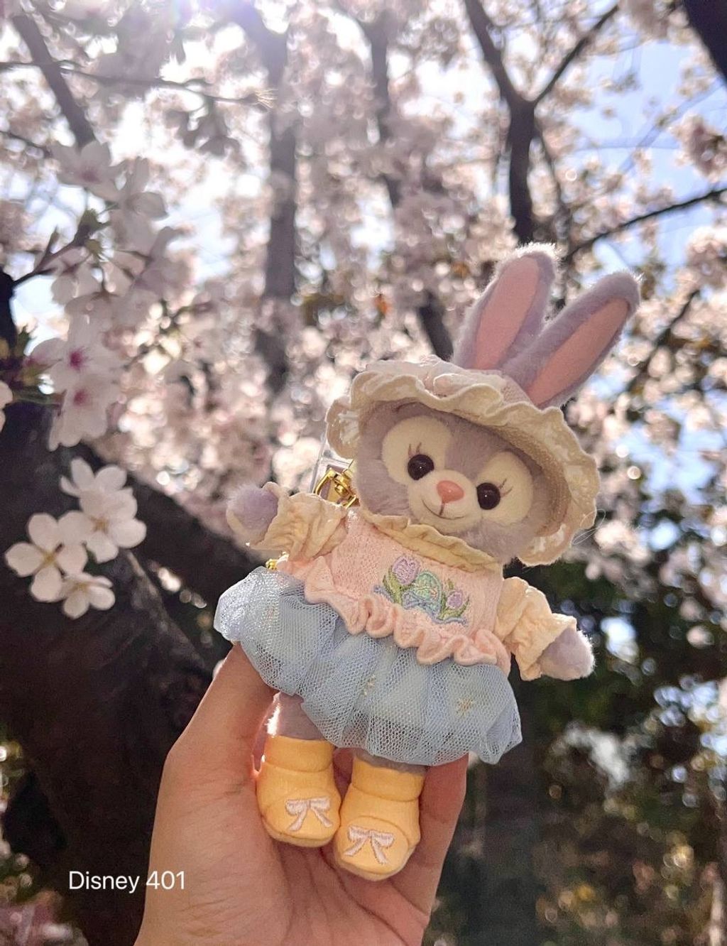 image_7C46F919-9C4F-4AD7-AB3B-B73220351D43_1760520138