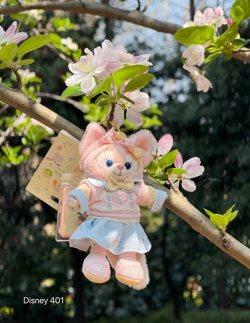 image_11E995DD-DB4B-4F90-BEC2-A33FB32B0CEB_1760520138