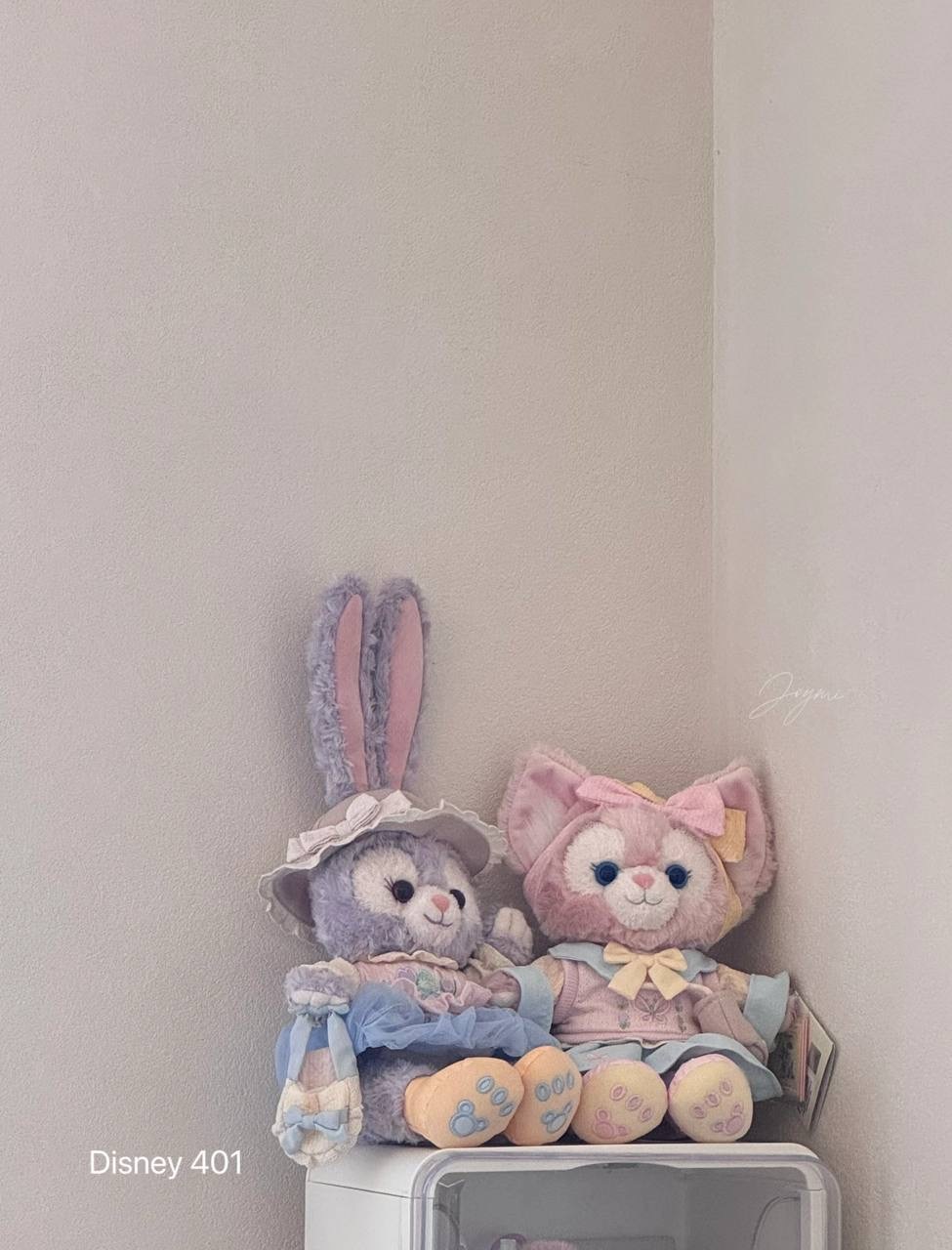 image_D0640294-94B0-4552-96A0-F8909704D17C_1760520138