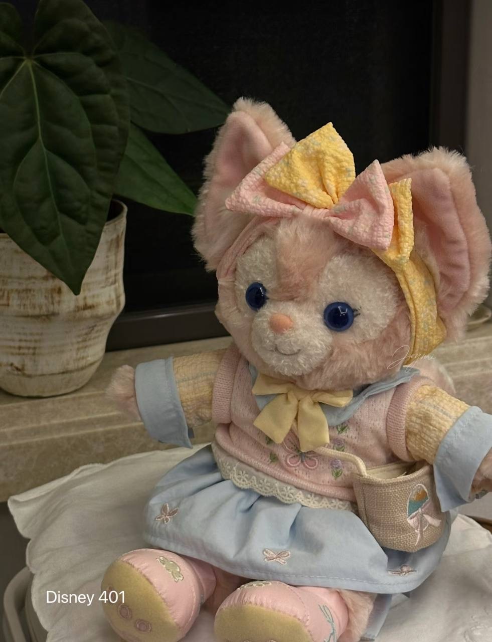 image_EF541CF8-3B9D-4BDB-899E-526DC5E4CB60_1760520138