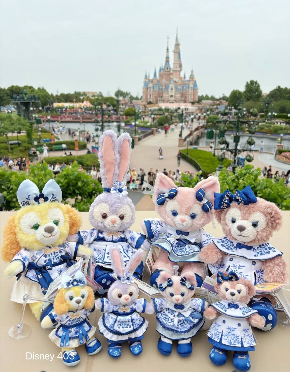 image_F103AC95-0AF0-43C5-A26E-398DADD7CC98_1760520344