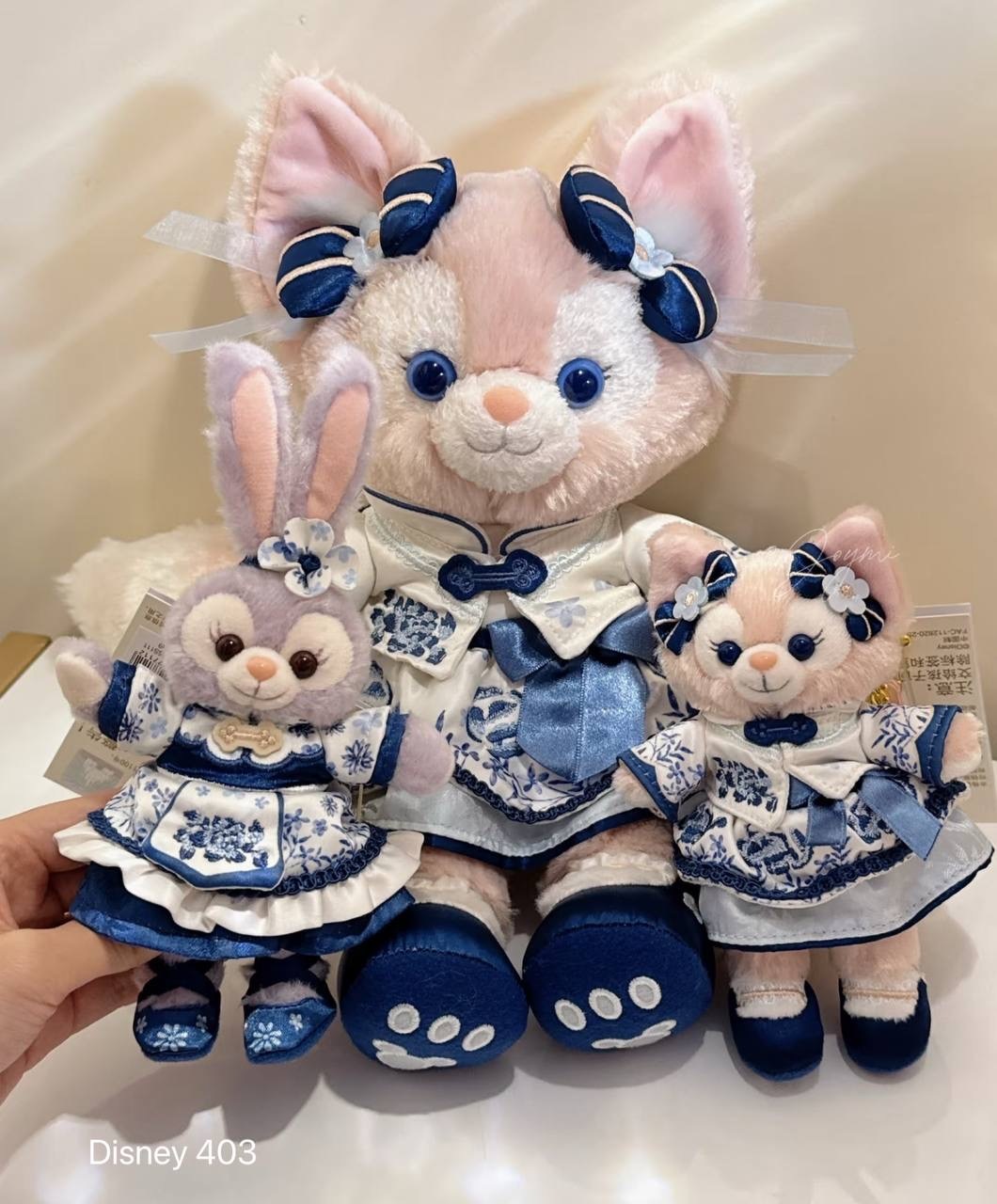 image_0D930AEE-1302-4238-B959-AEEBBD468734_1760520344