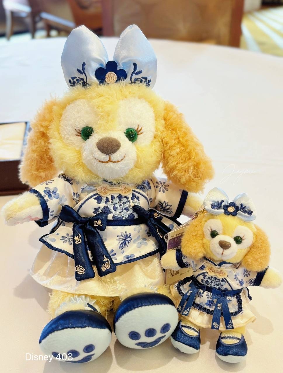 image_0A5969DC-37C9-4AA0-A68E-B8DD49EE3640_1760520344