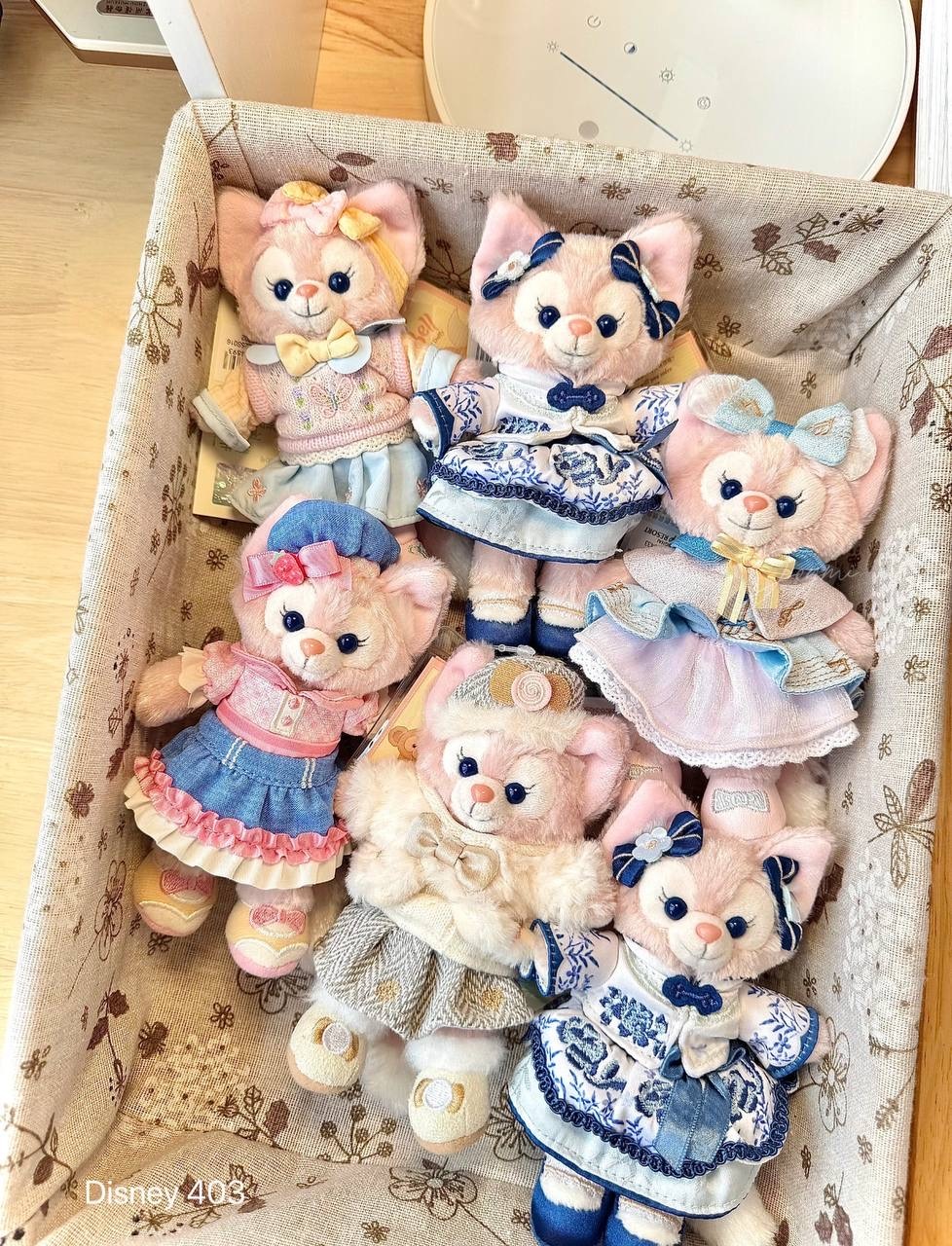 image_9D8884D1-E059-459E-A02B-78BDC5E5F7EC_1760520345