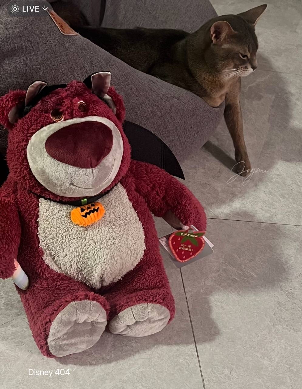 image_C8E92554-5B83-4229-BC93-A491D2A5E2B9_1760520729