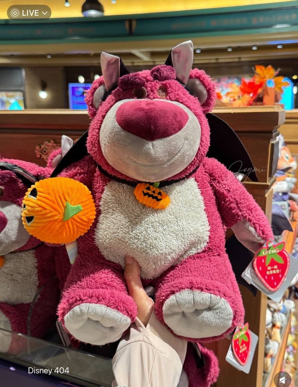 image_541DBB17-1E5D-4182-9ABF-619EF48E1717_1760520729