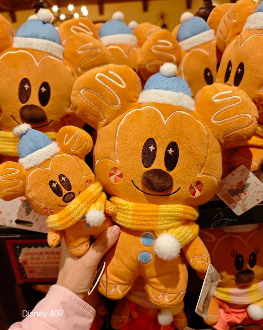 image_7C70FBDD-E535-4936-ABCB-3A7A86E97E63_1760521021