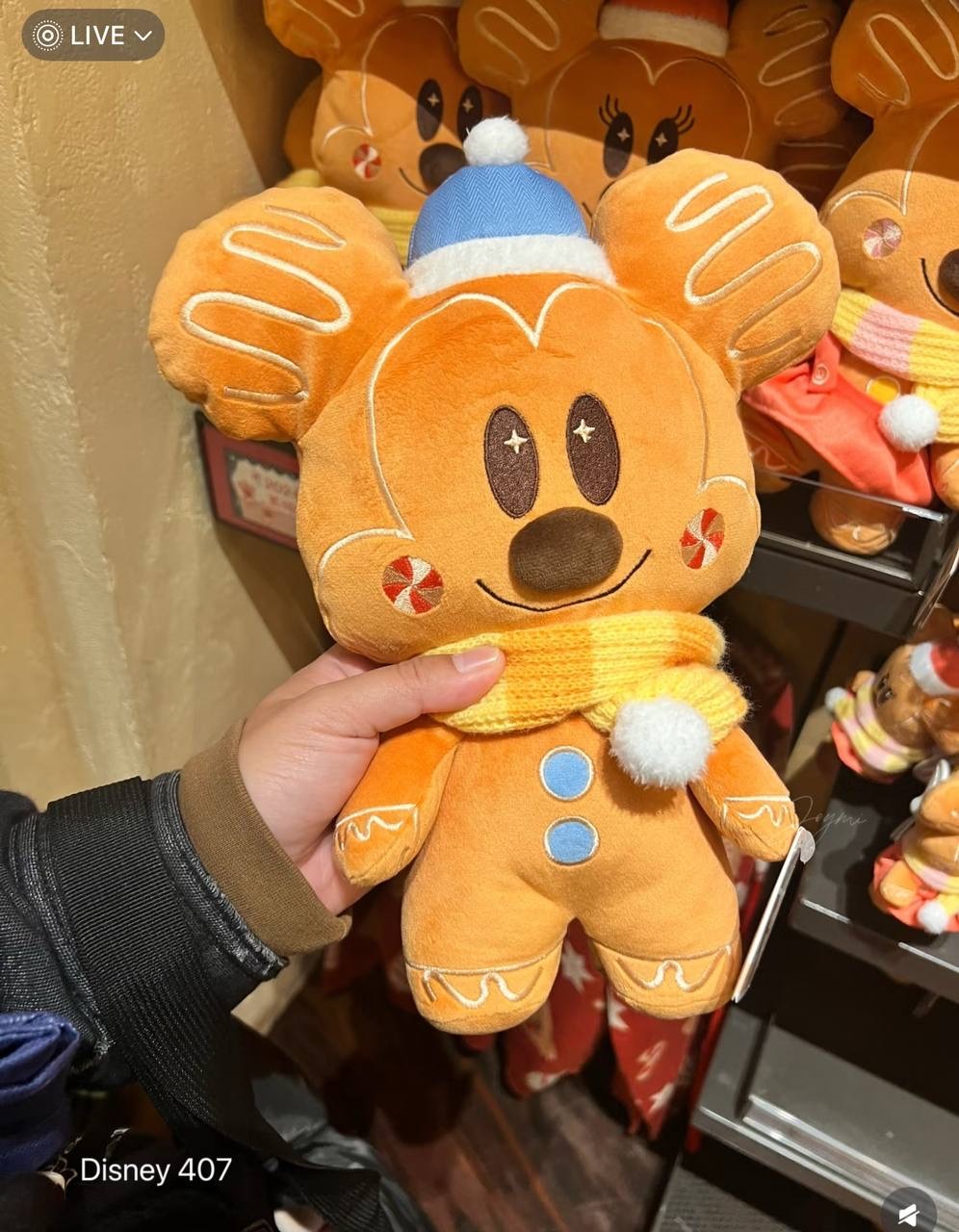 image_A5EDA7FD-672A-4CD0-8F2A-0B509AFFCBD0_1760521021