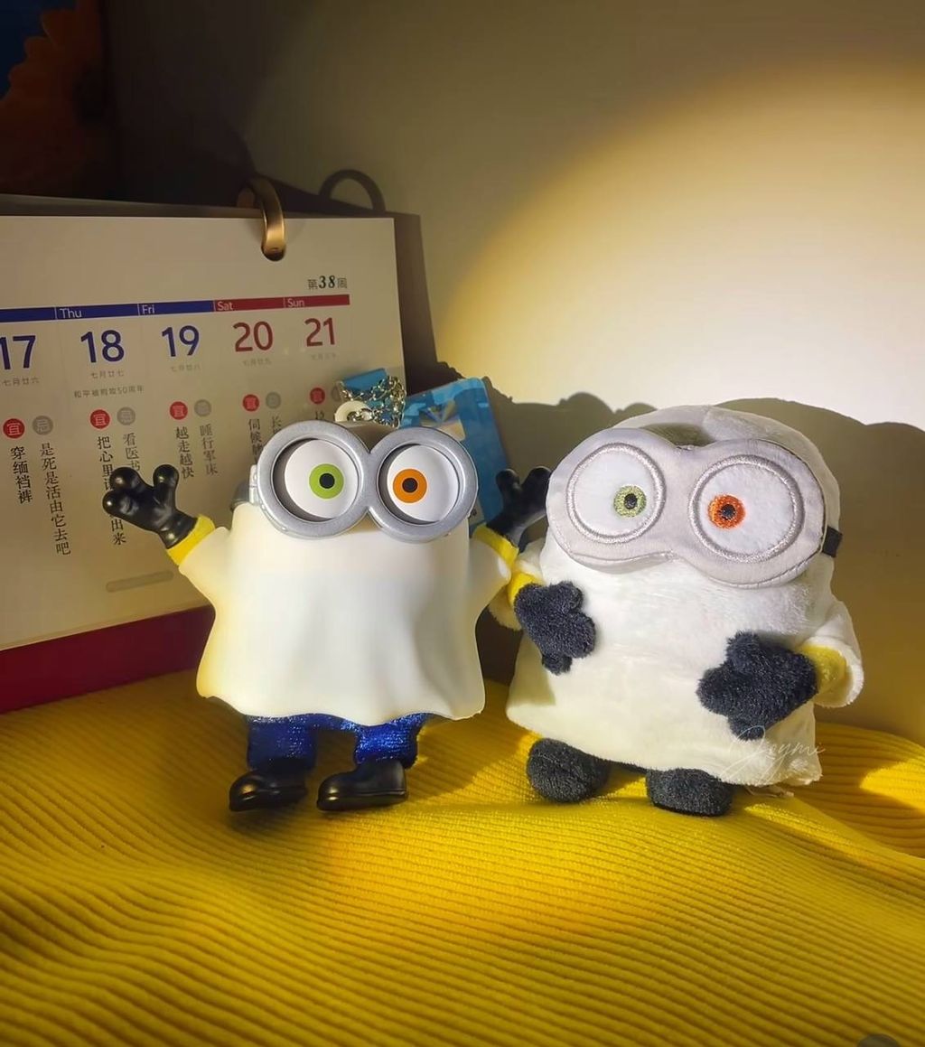 image_D468CFD0-E169-41C5-9734-E0538D33FD0B_1760521153