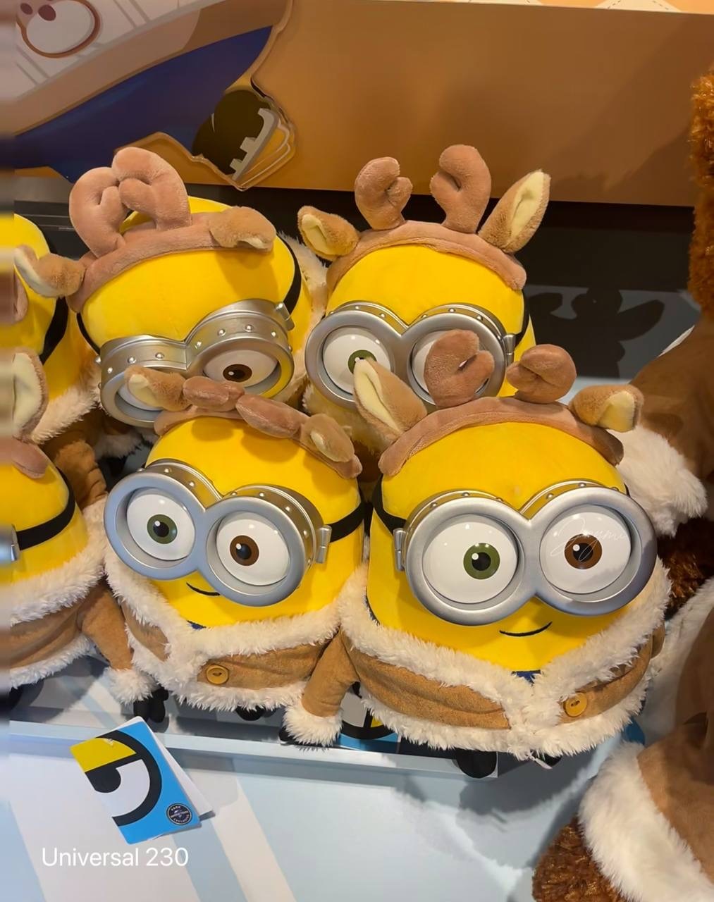 image_DA118046-C7DE-4508-8DCE-452EFB81FCA5_1760613852