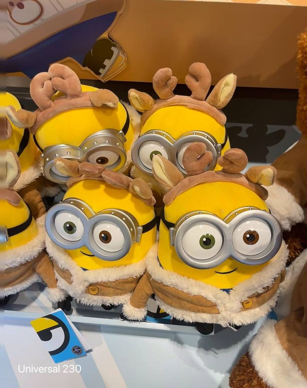 image_DA118046-C7DE-4508-8DCE-452EFB81FCA5_1760613852