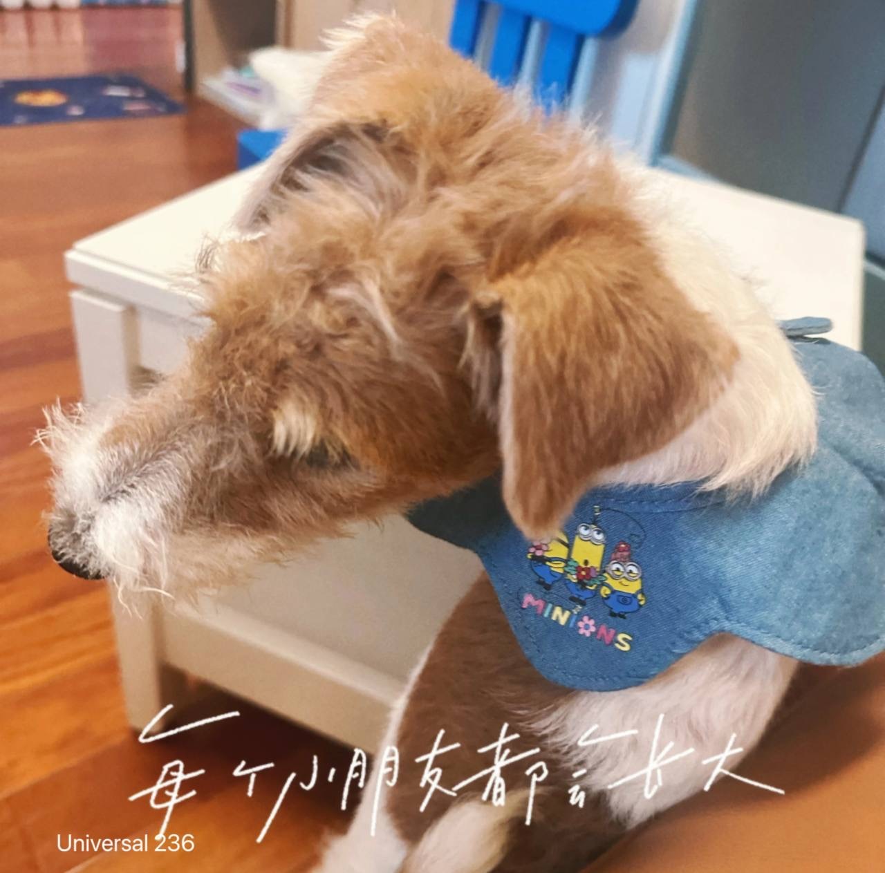 image_121A3AA8-D7D2-4274-B679-7A98CA66D57A_1760614456