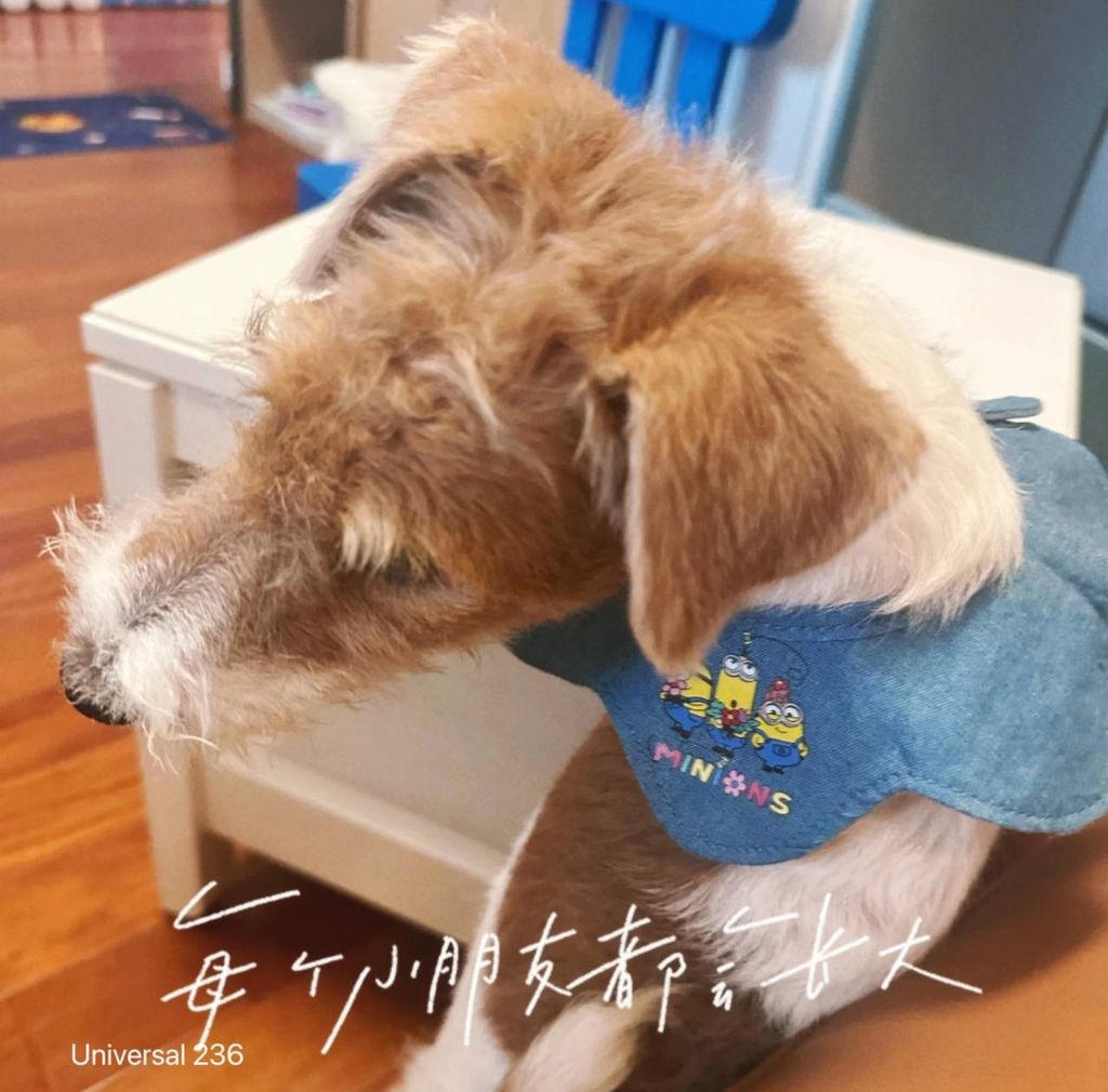 image_121A3AA8-D7D2-4274-B679-7A98CA66D57A_1760614456