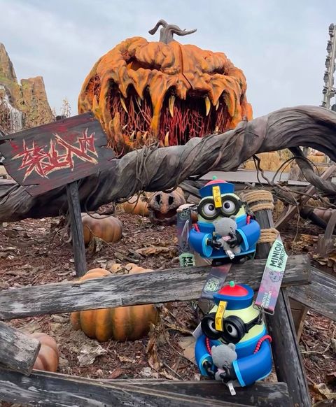 image_D58B0A48-0CF9-4E05-BE05-79758D8EF73B_1760614649