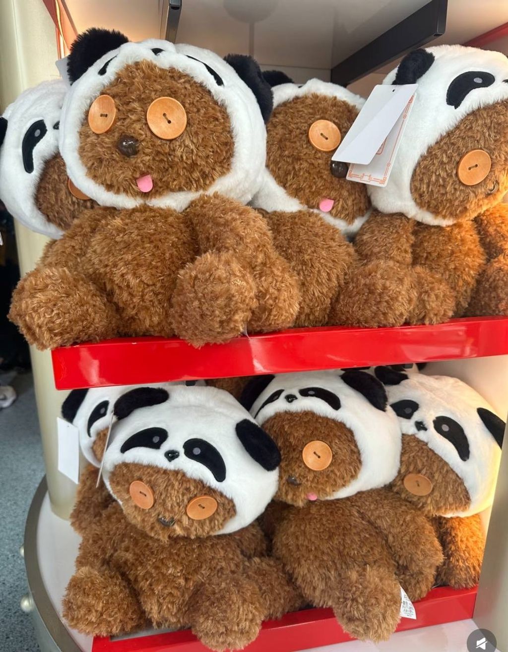 image_E617577C-027B-4E04-B473-603250D0B6E9_1760615331