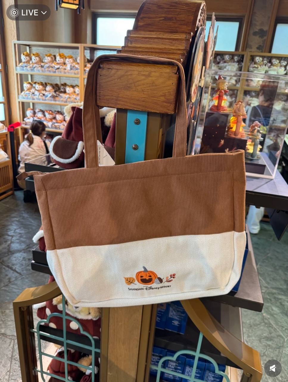 image_1B76376D-373F-4DD3-B00E-770380C59CBF_1760786444