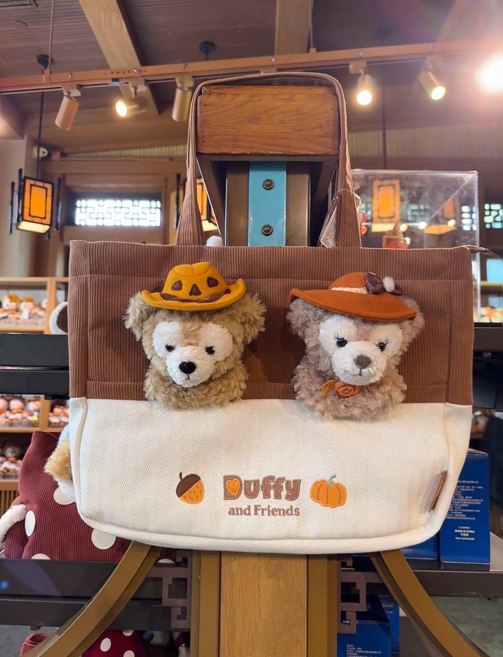 image_ACD75904-8240-458D-A802-343F202FC08E_1760786444