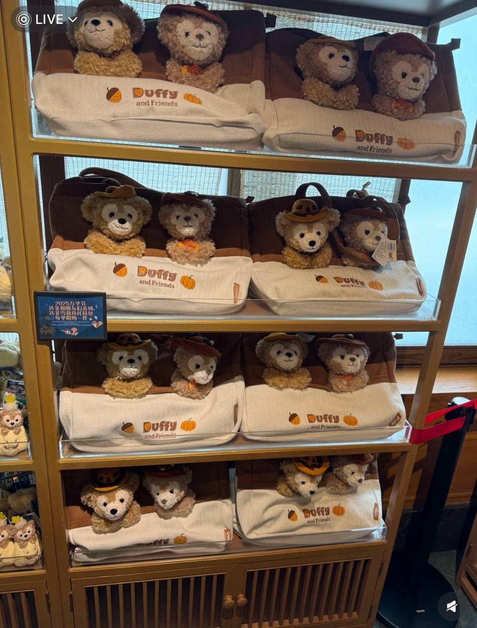 image_FE5E0A1C-E842-4583-B733-524F2AE8B805_1760786444