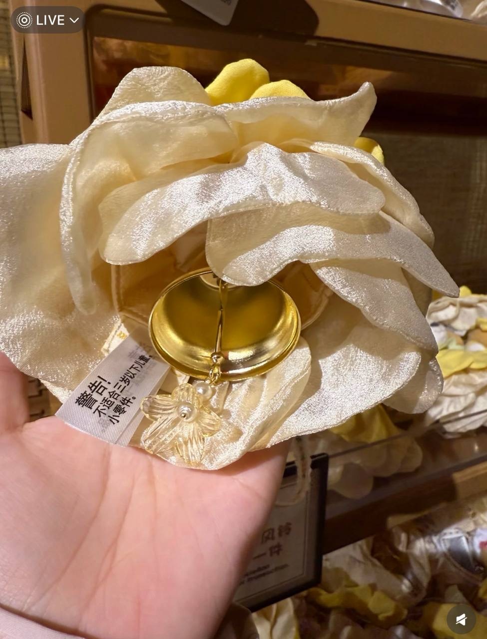 image_FDD4CAD7-7A47-4B14-AE3A-30EFF39CEB74_1760786552