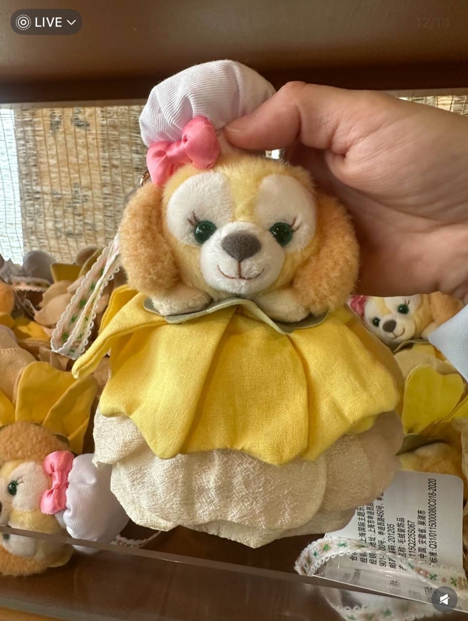 image_D9A7CA16-719D-419C-B6FF-FEDB764907A2_1760786552