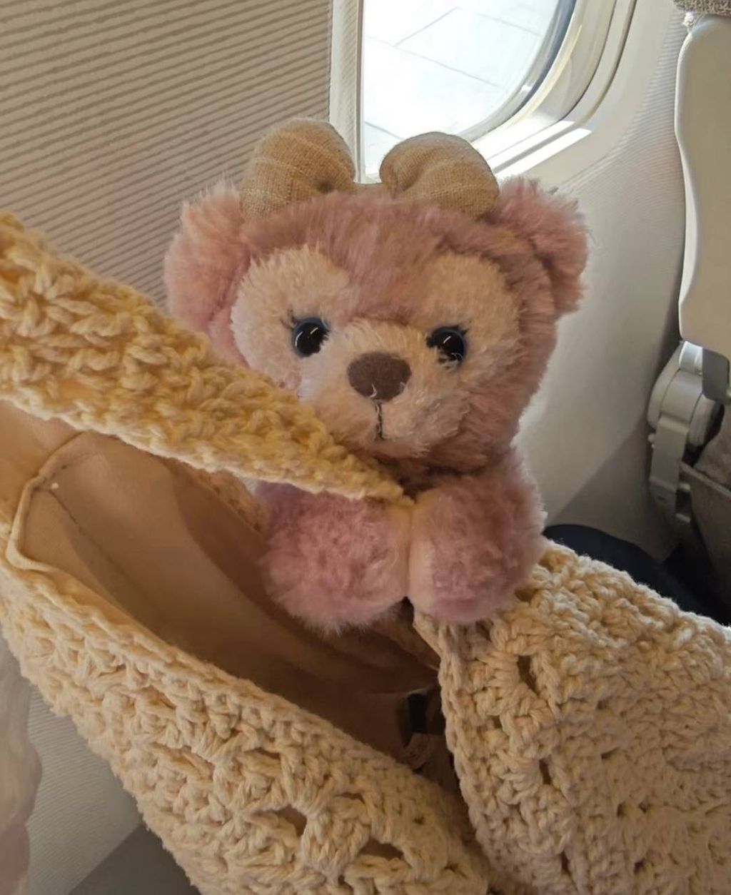 image_ACFDC4C1-1408-464A-9D89-D70C5231874F_1760786609