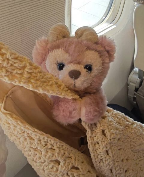 image_ACFDC4C1-1408-464A-9D89-D70C5231874F_1760786609