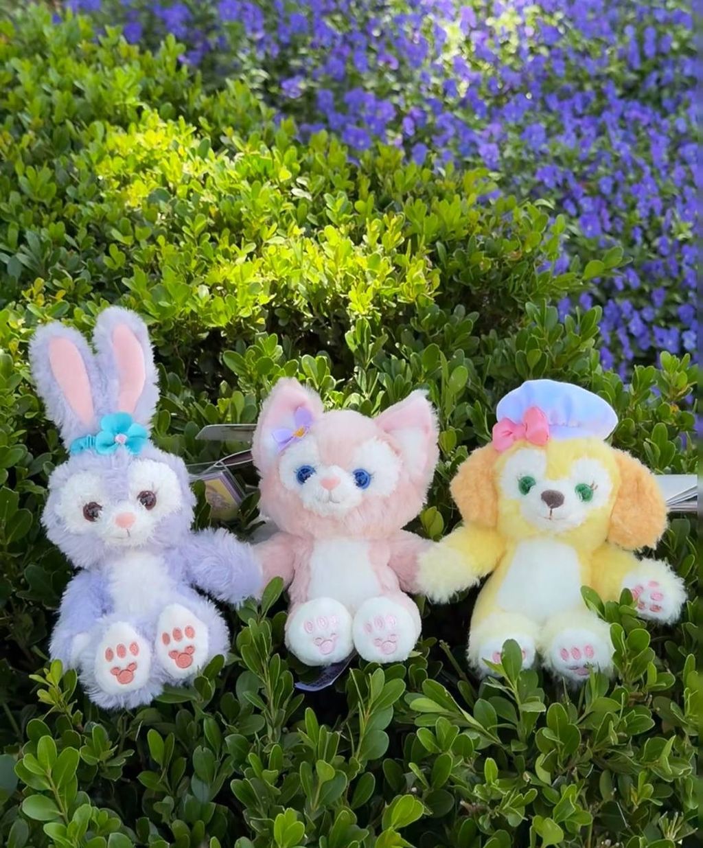 image_4AD040A9-04CA-4128-B16E-35A12E7C9D4F_1760786609