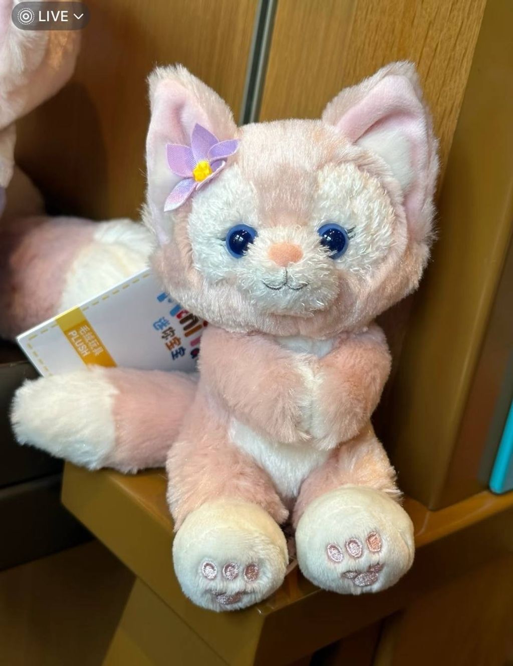 image_1DB4C914-1D6A-4DEE-87BB-06ECB2E470C6_1760786609