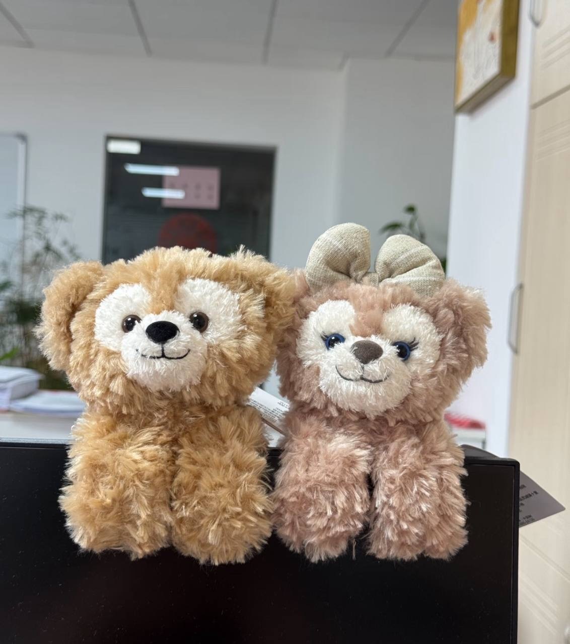 image_AC21596C-FC9C-4562-8FB6-3D0834E5128D_1760786680