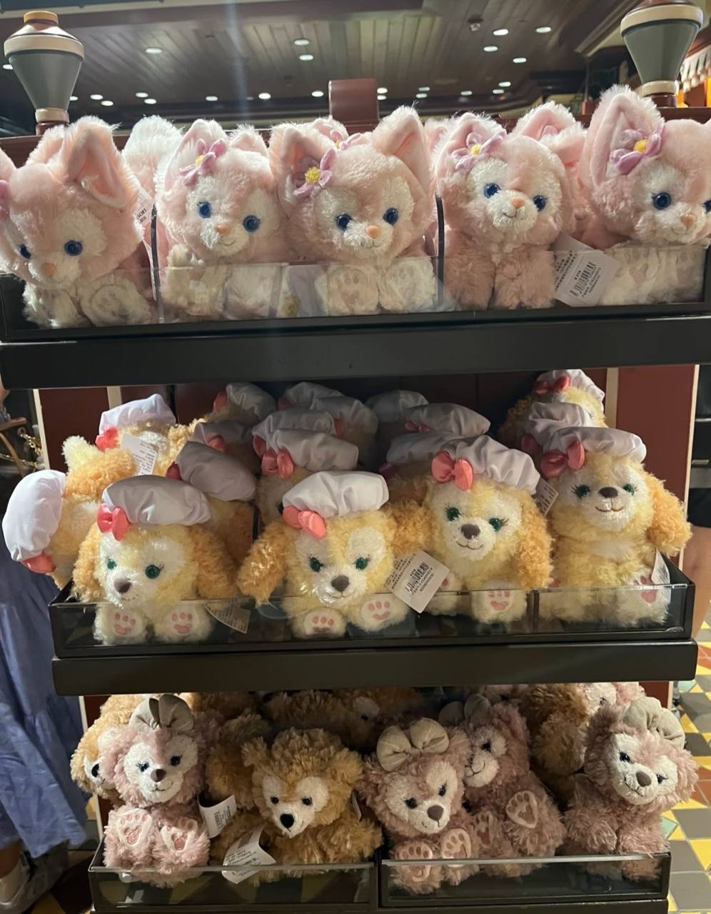 image_15A2C36D-6C1E-41FE-81ED-31FE6EACEBF6_1760786680