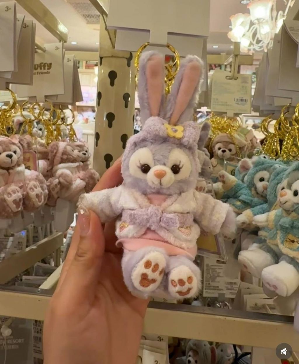 image_3F22BD80-55DD-4707-A2E1-433DFC42189B_1760786954