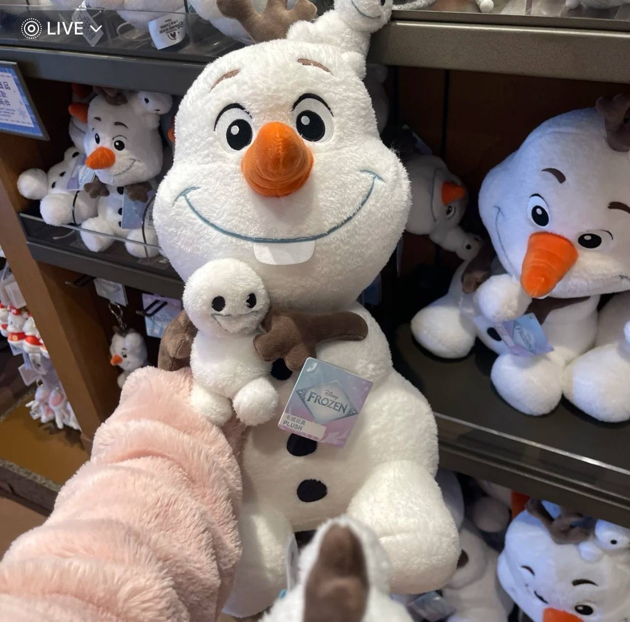 image_3D8606CD-4564-441F-8649-505FDDCD7B1F_1760787094