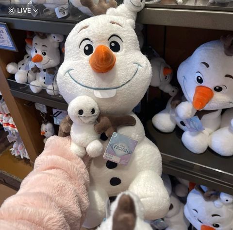 image_3D8606CD-4564-441F-8649-505FDDCD7B1F_1760787094