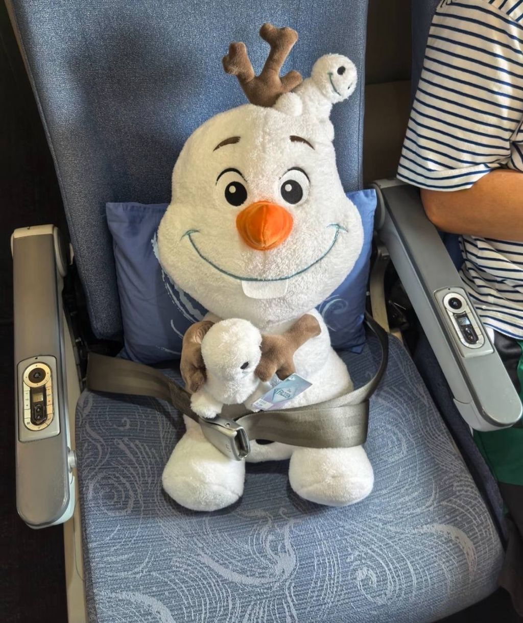 image_B391FD2D-33A5-499A-B2B9-516B3F7B7A60_1760787094