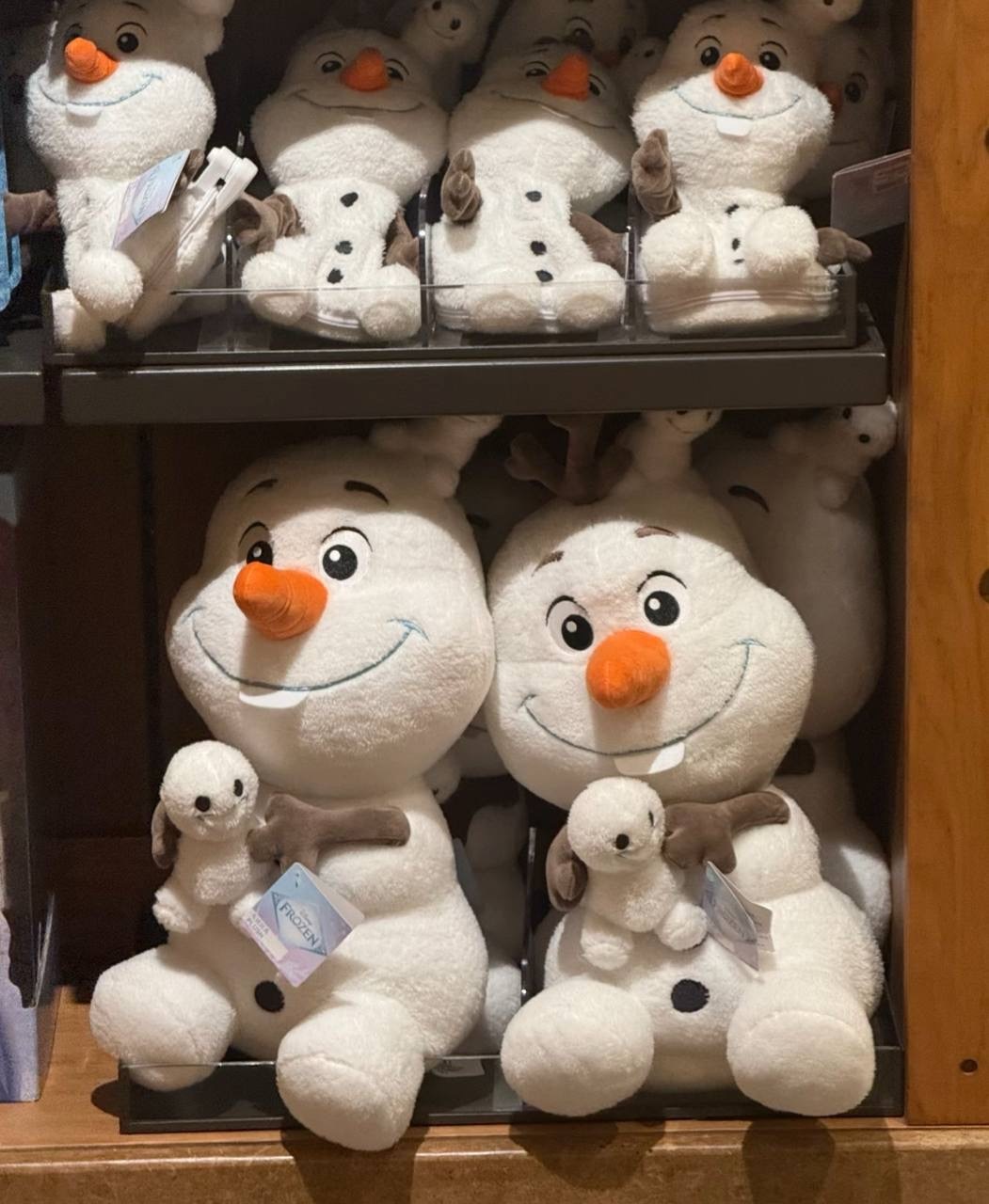 image_13AE438F-0CF1-4CC2-8580-E3E948408627_1760787094