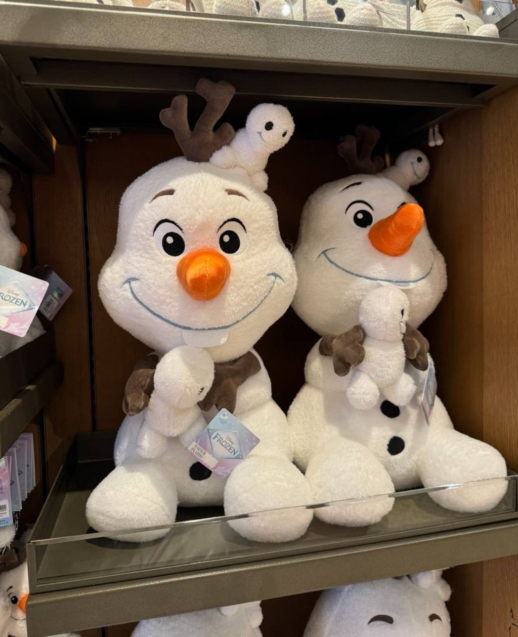 image_171E035C-D171-4E54-80F9-9F774634E099_1760787094