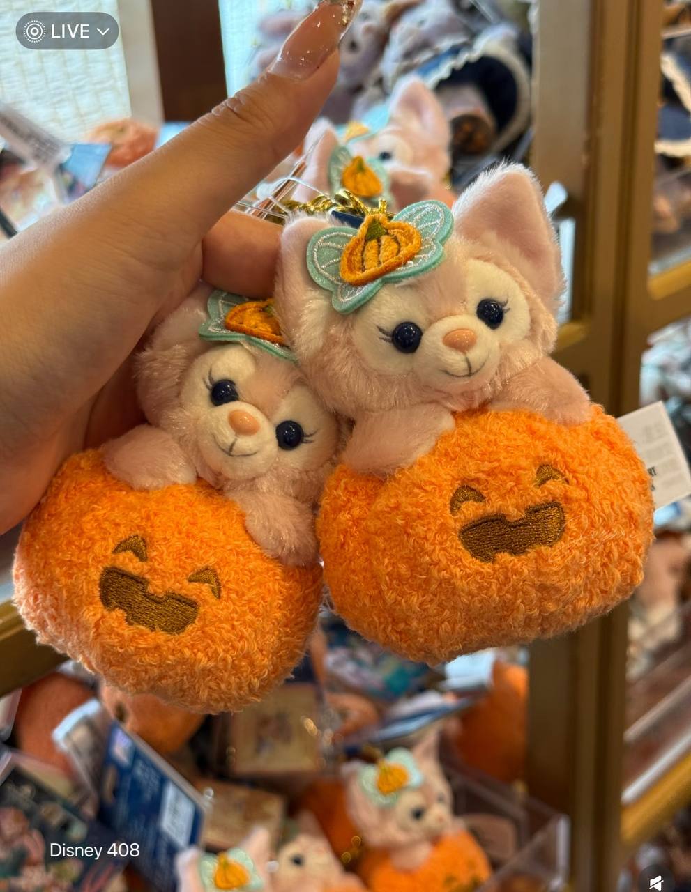 image_91C11A3A-DF25-4149-AFAB-1EF247F2407A_1760807998