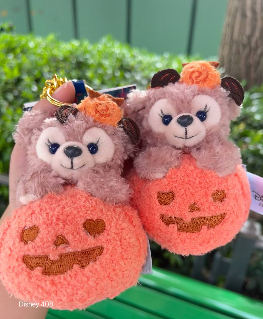 image_1ED4F765-7BF0-49FA-B598-ADABEFEF529B_1760807998