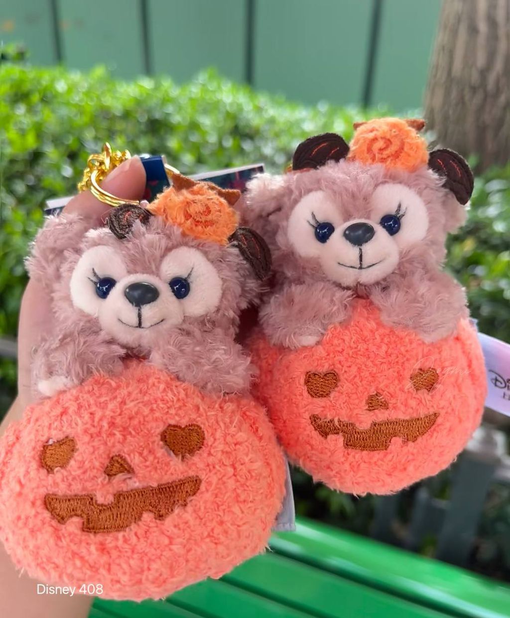 image_1ED4F765-7BF0-49FA-B598-ADABEFEF529B_1760807998