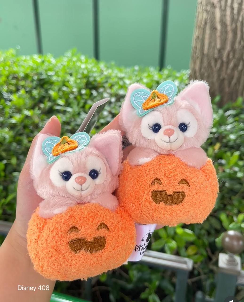 image_76BF2E94-488B-4407-B819-1B1EBE5F3874_1760807998